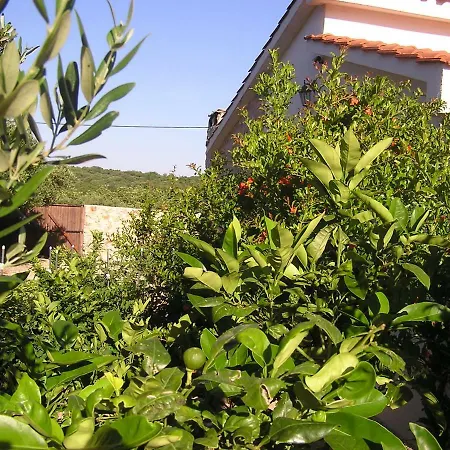 Vila Sanadrija 200 M Od Mora Mali Drvenik Exterior photo