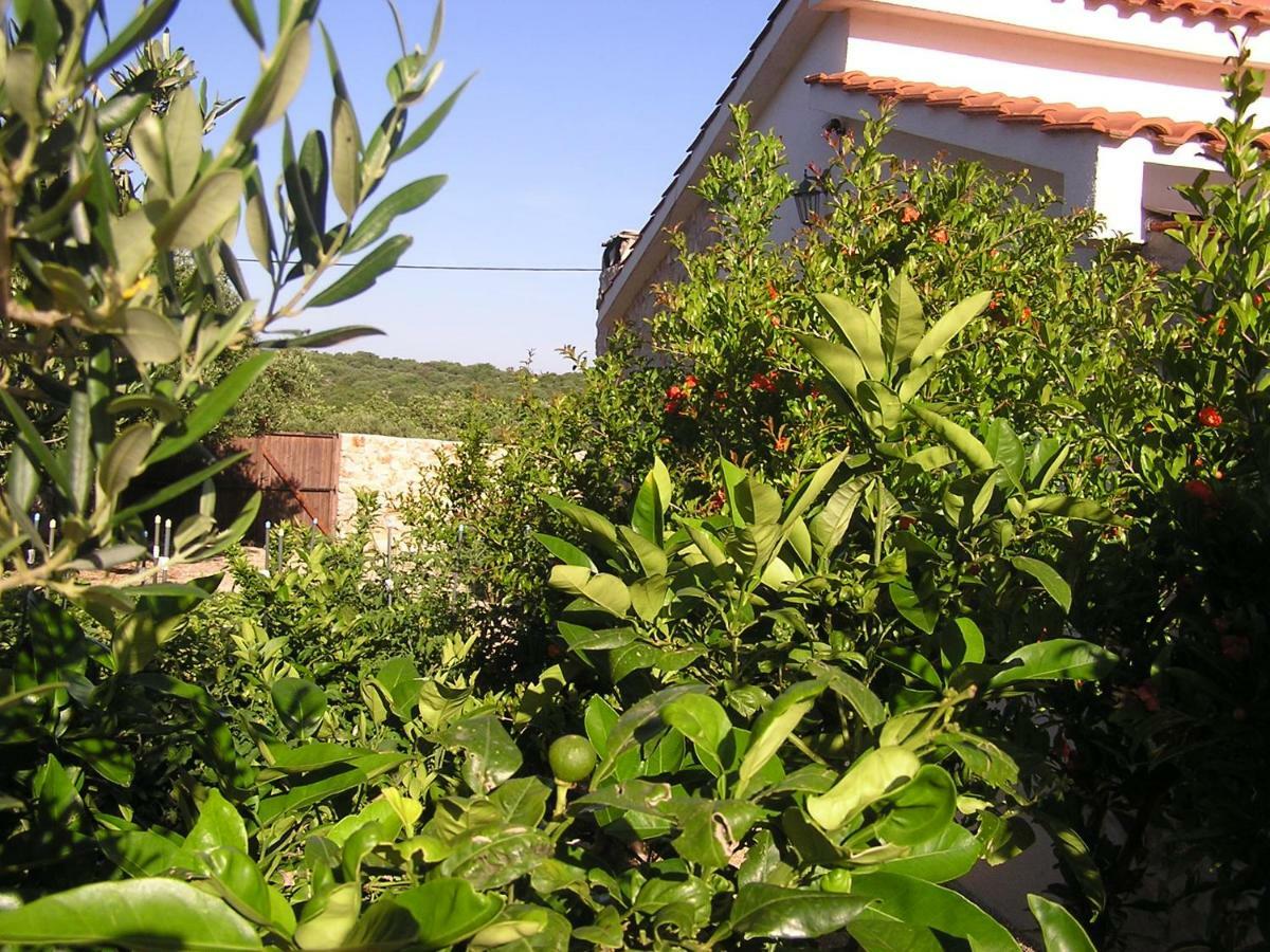 Holiday home Sanadrija 200 M Od Mora Mali Drvenik